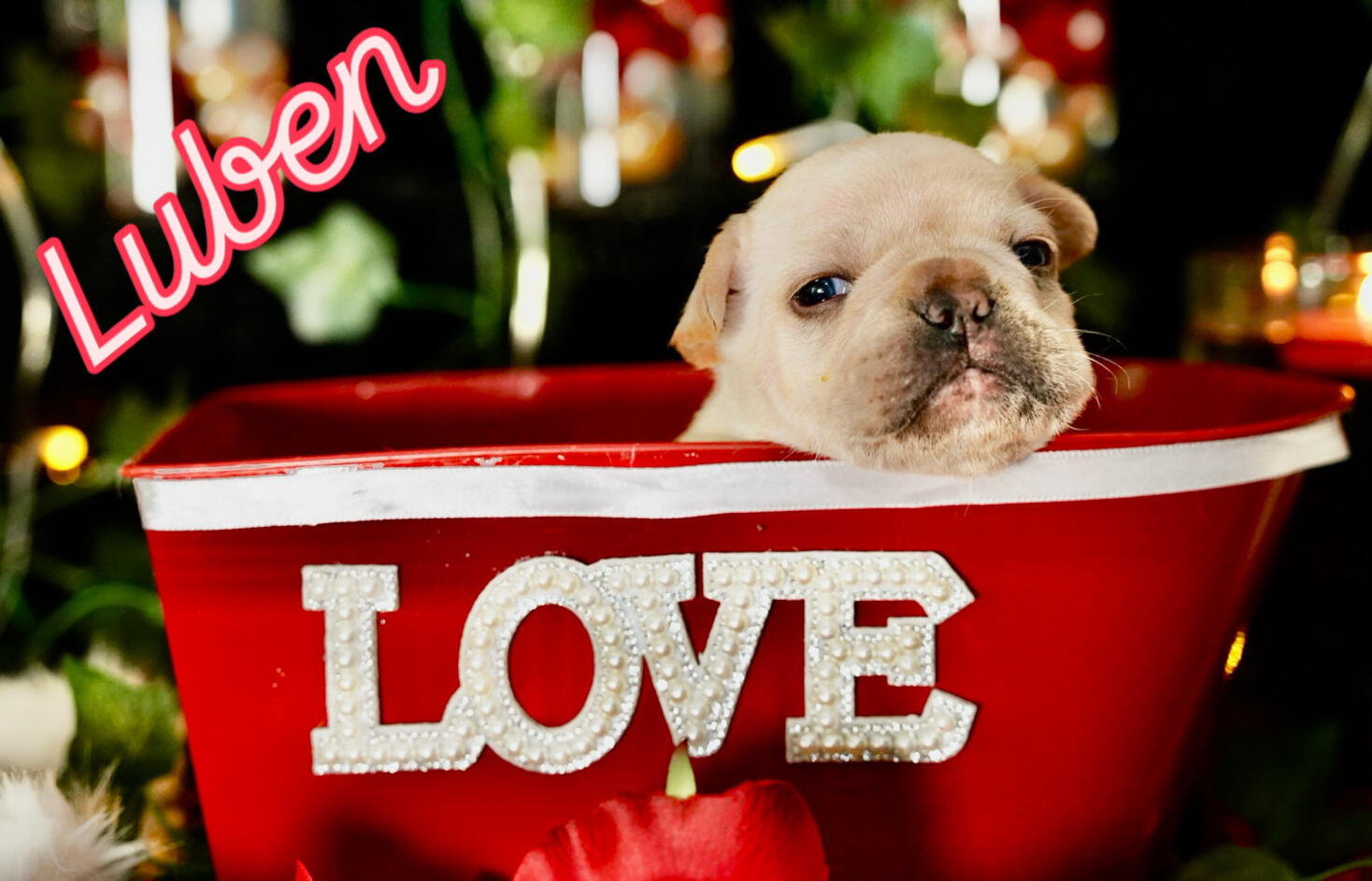 Luben Love